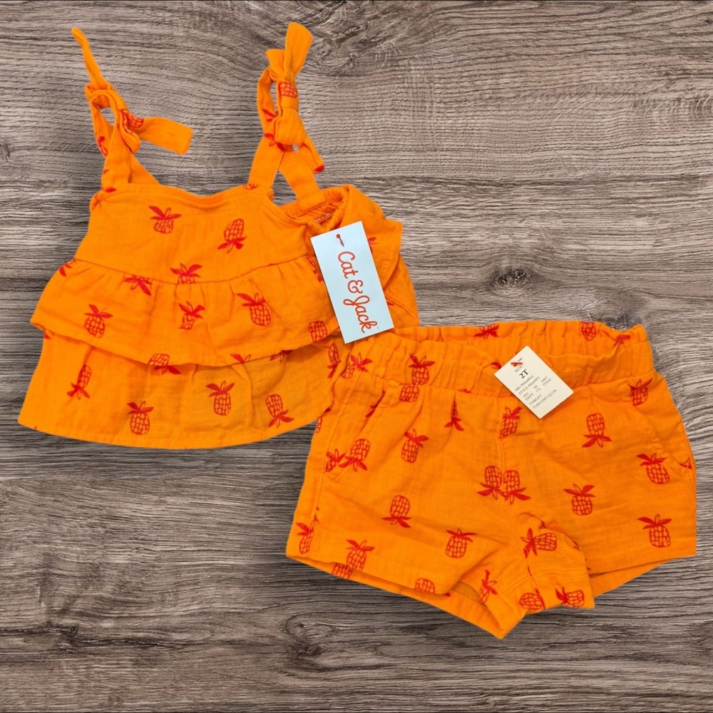 Orange Pineapple Print Toddler Outfit